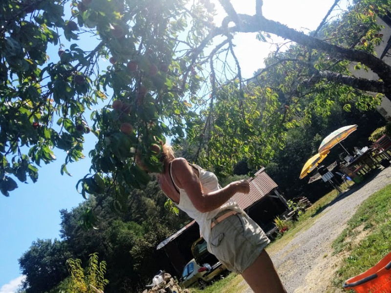 Aire Naturelle Le Moulin de Lacombe, Saint-Geniez-ô-Merle - photo 20