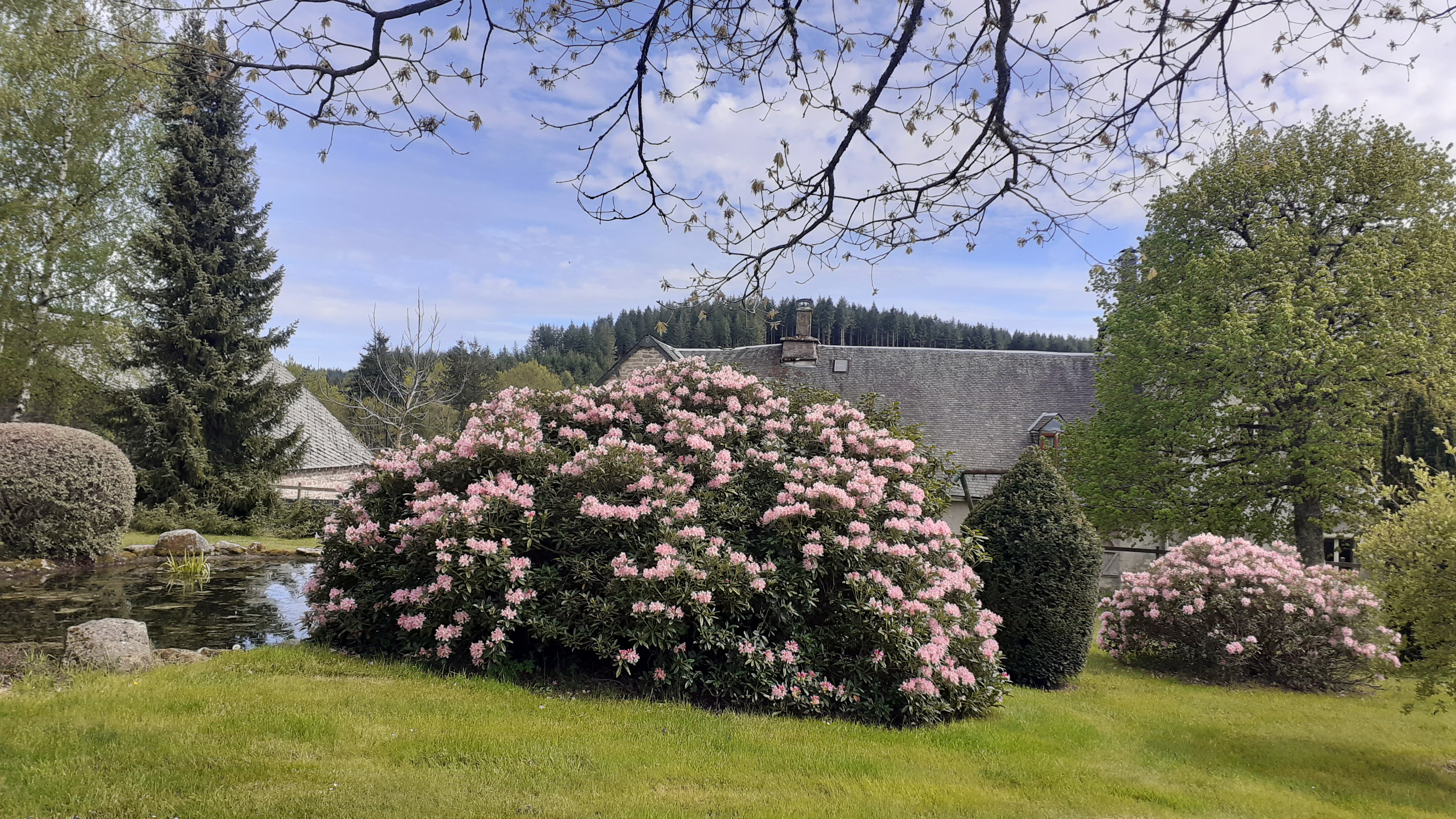 Le Logis du Parc, Pérols-sur-Vézère - photo 9