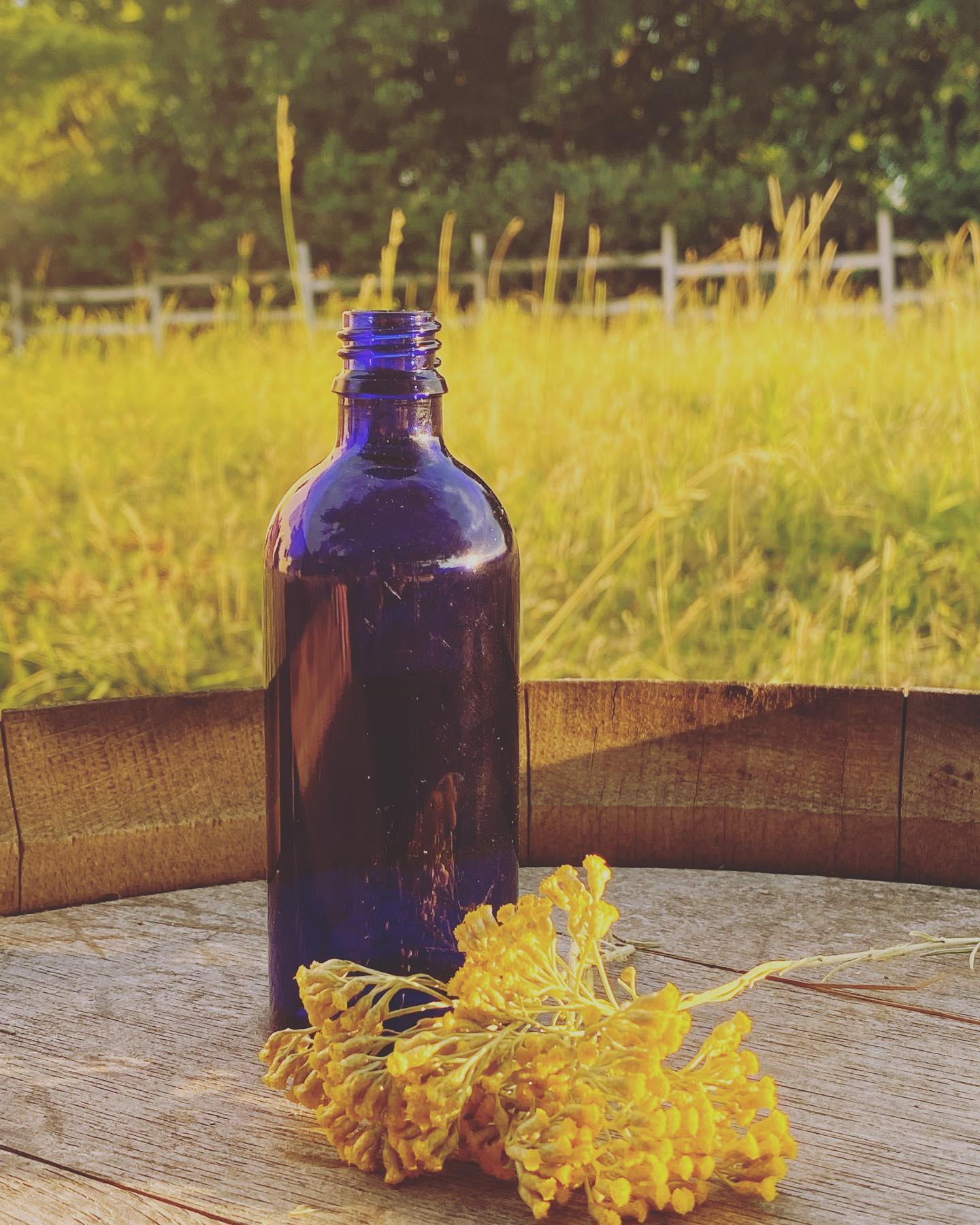 Les Trésors de Galien - photo 4