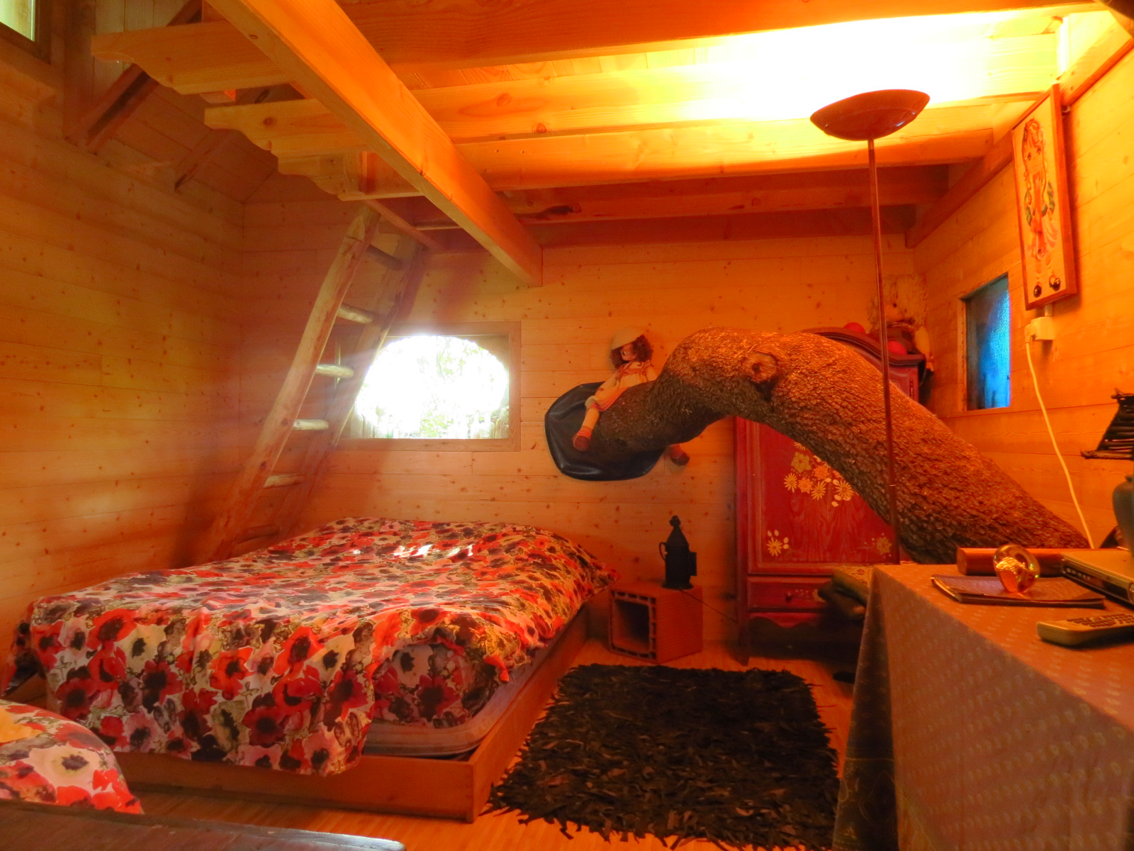 La cabane de Mira - photo 5