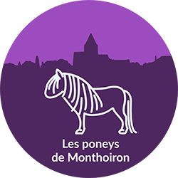 Les Poneys de Monthoiron
