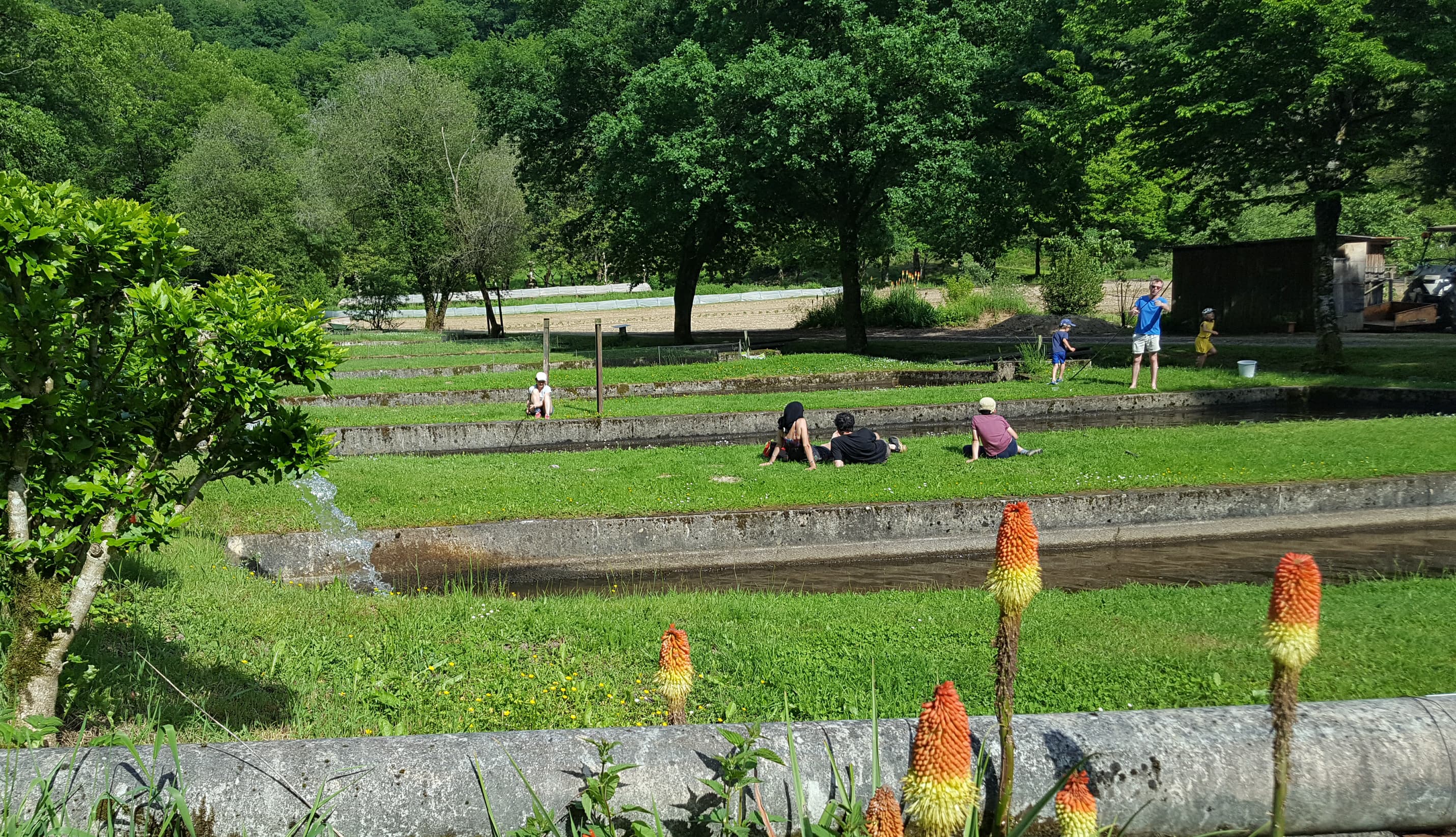 Pisciculture La Fialicie