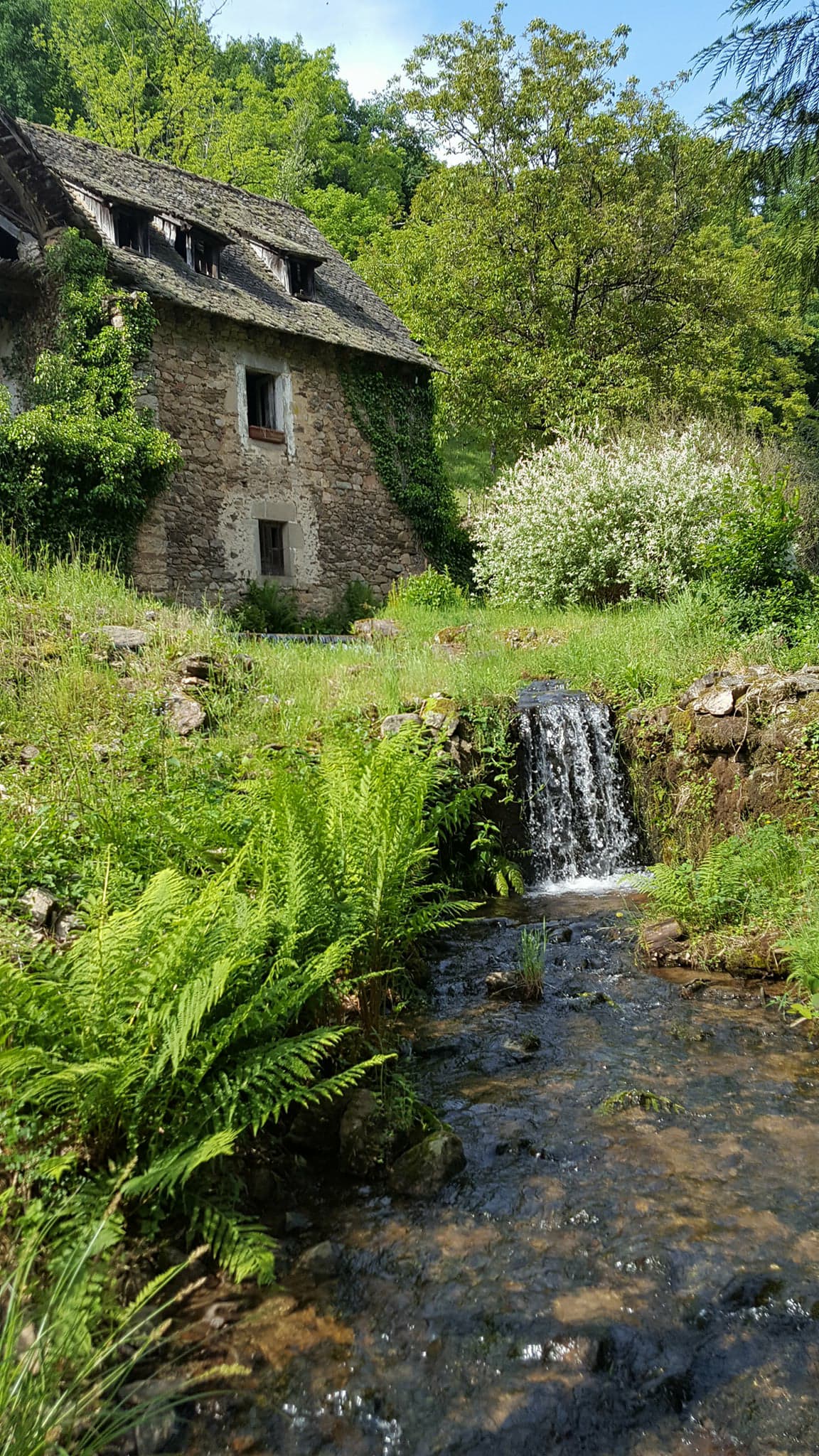 Pisciculture La Fialicie - photo 2