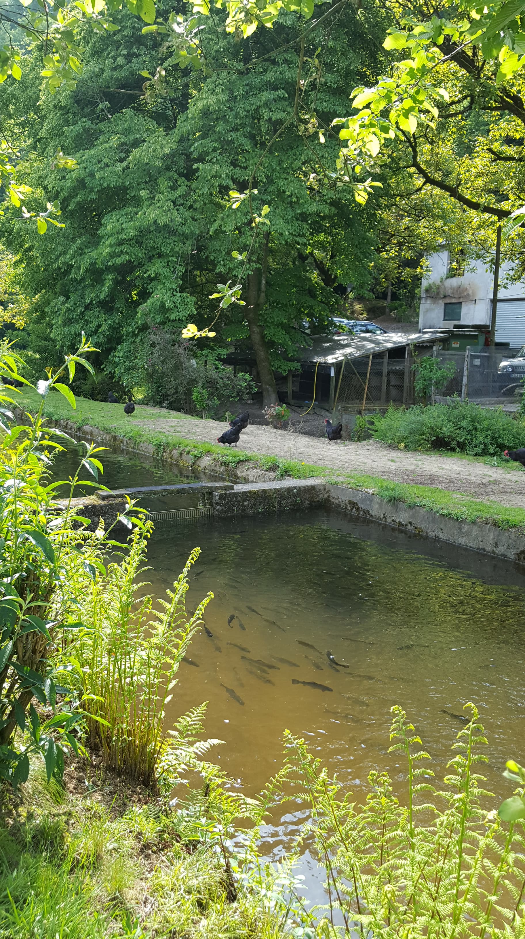 Pisciculture La Fialicie - photo 5