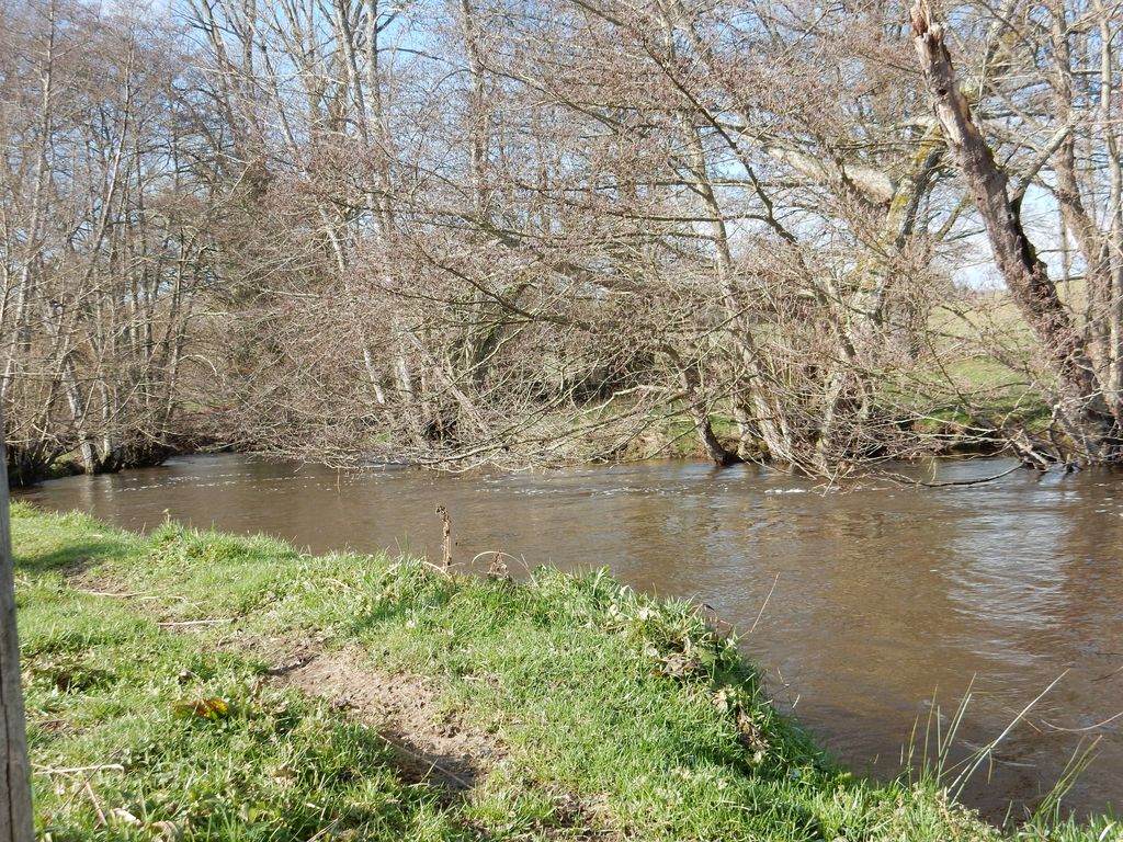 "Les Pieds dans l'Eau " Grande capacité - 15 personnes, Le Grand-Bourg - photo 18