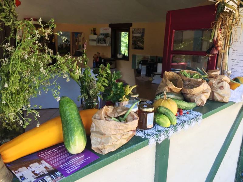 Aire Naturelle Le Moulin de Lacombe, Saint-Geniez-ô-Merle - photo 48