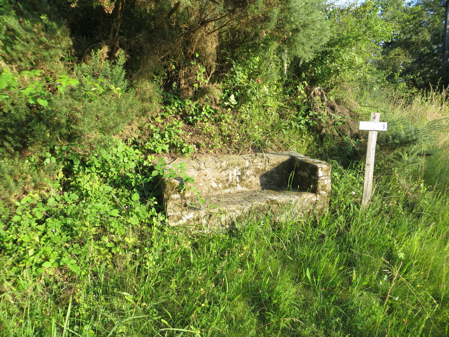 Autour du Puy Turlau — photo 3