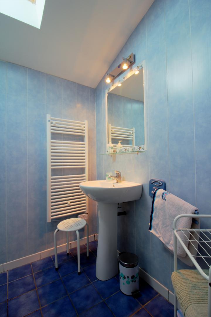 Château Frédignac, Saint-Martin-Lacaussade - photo 7