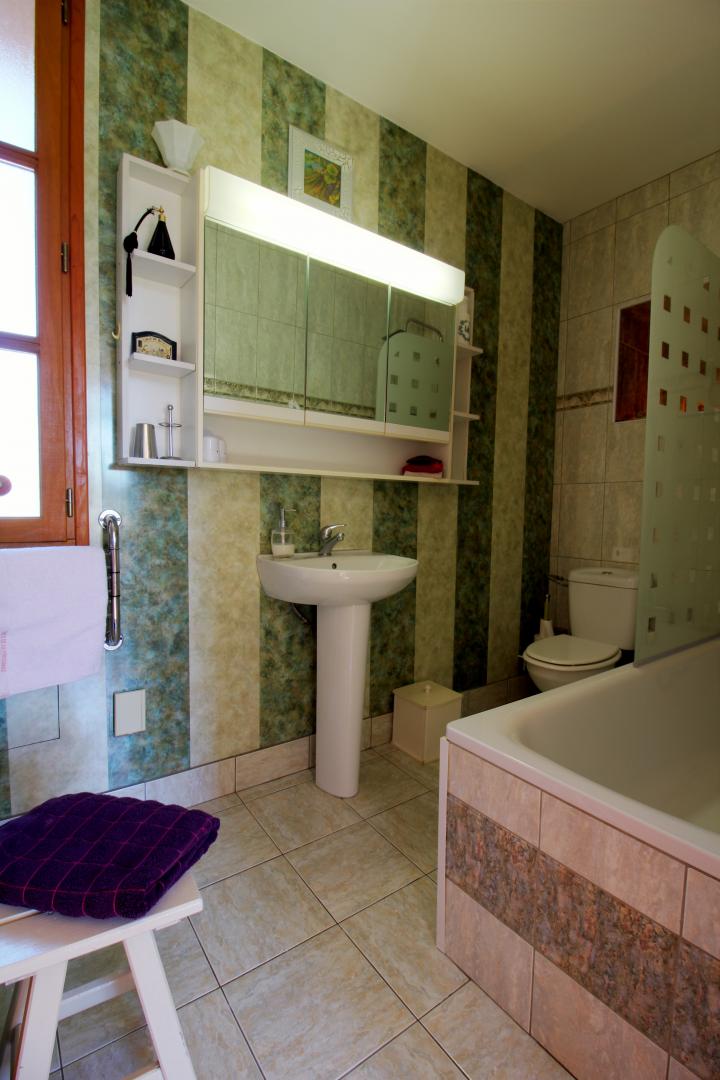 Château Frédignac, Saint-Martin-Lacaussade - photo 9