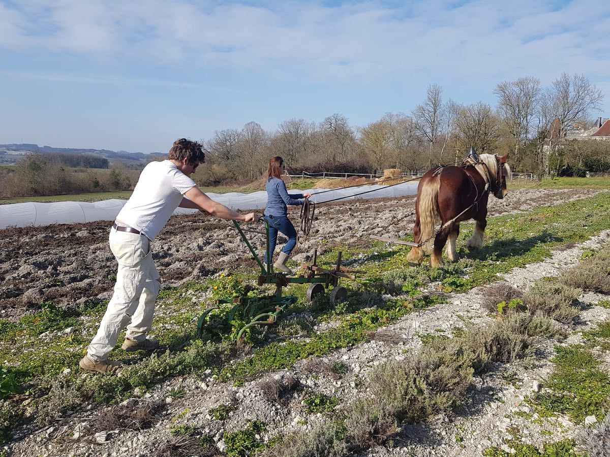 Les Trésors de Galien - photo 3