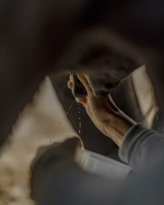 La Ferme des Mauberts