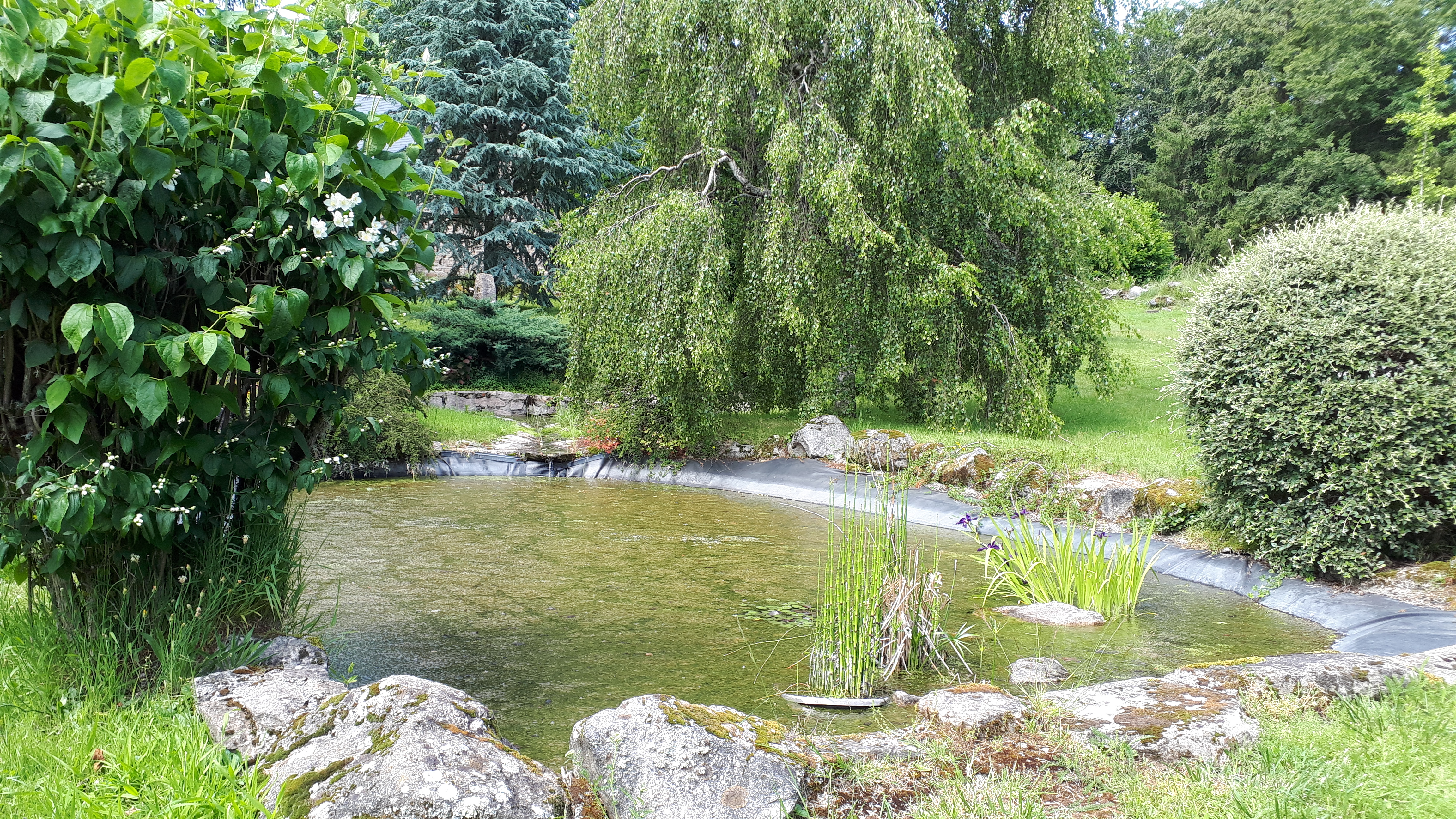 Le Logis du Parc, Pérols-sur-Vézère - photo 13