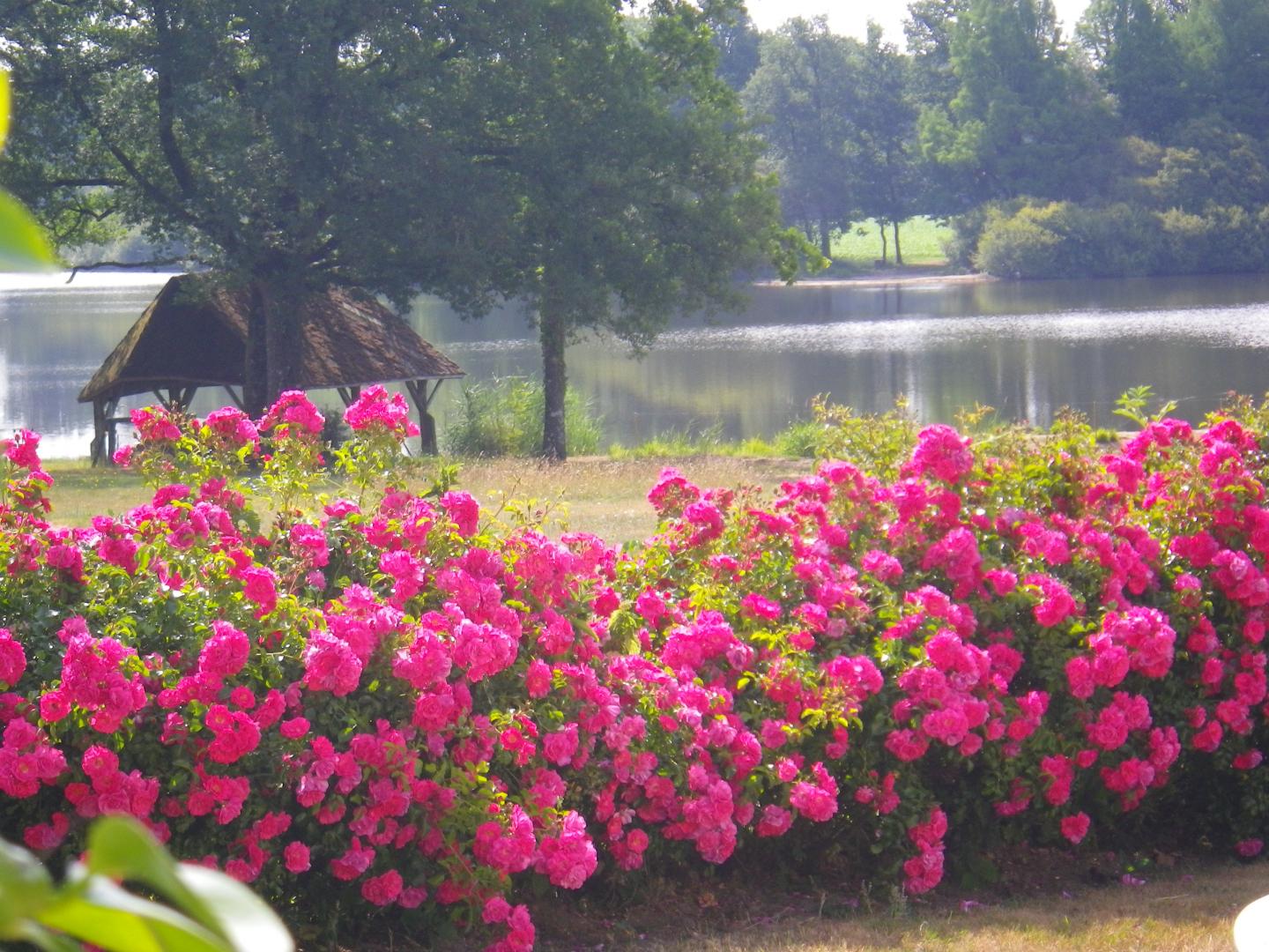 Gîte de l'Etang - Les Freaux, Clessé - photo 8