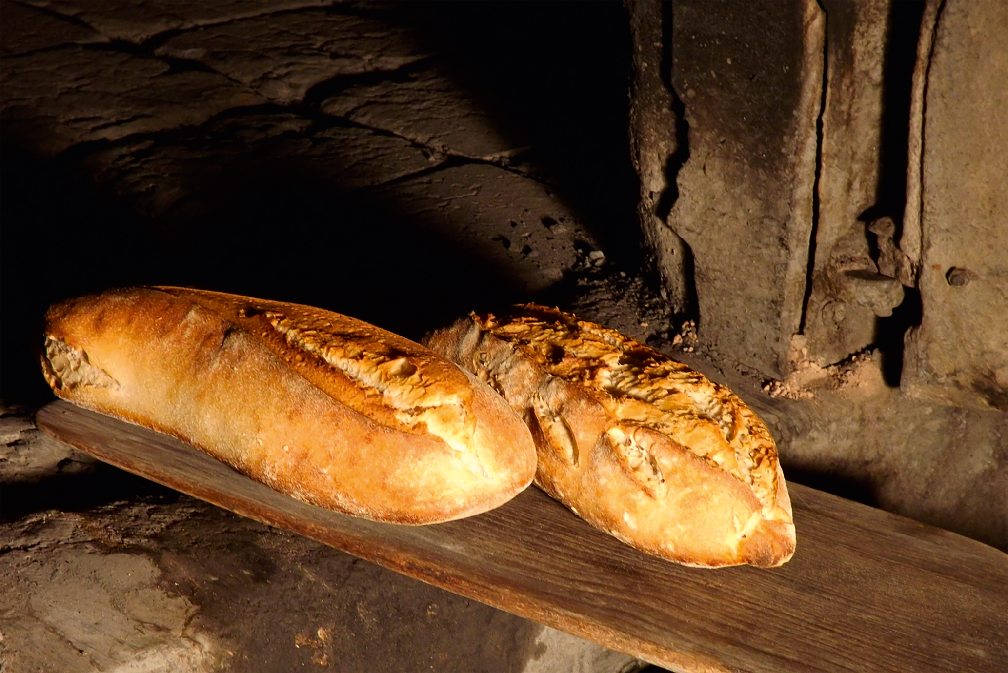 GAEC La ferme du Petit Puyaume