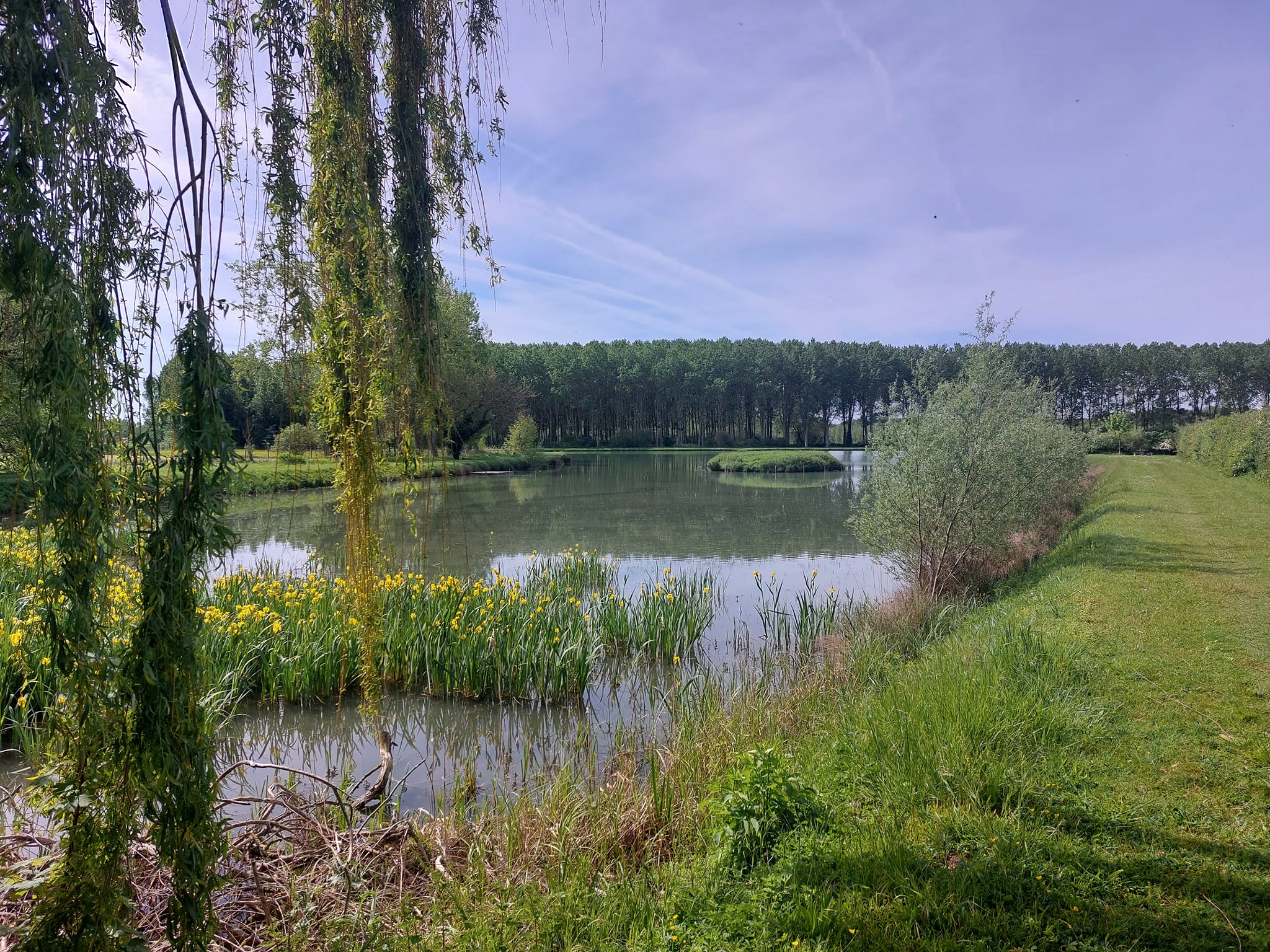 Etang de Doussay