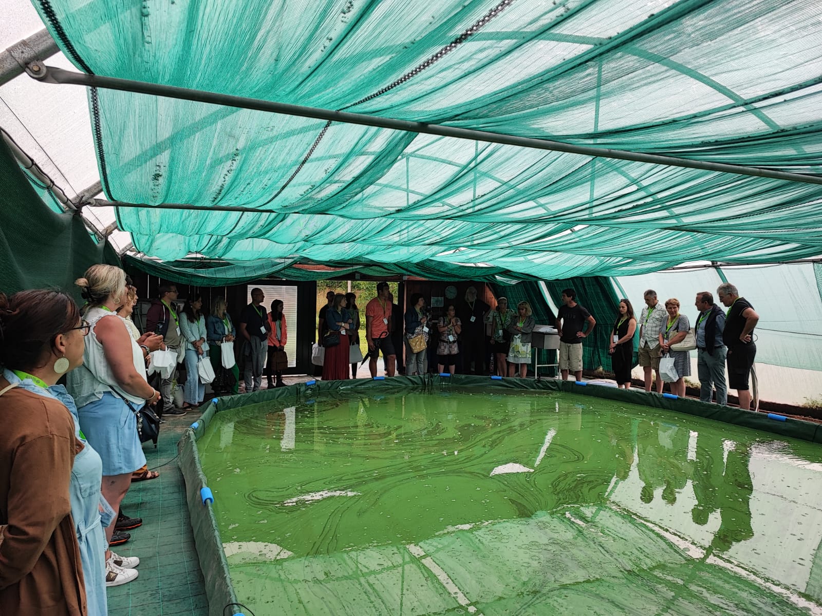 Spiruline Vallée de la Dronne - photo 3