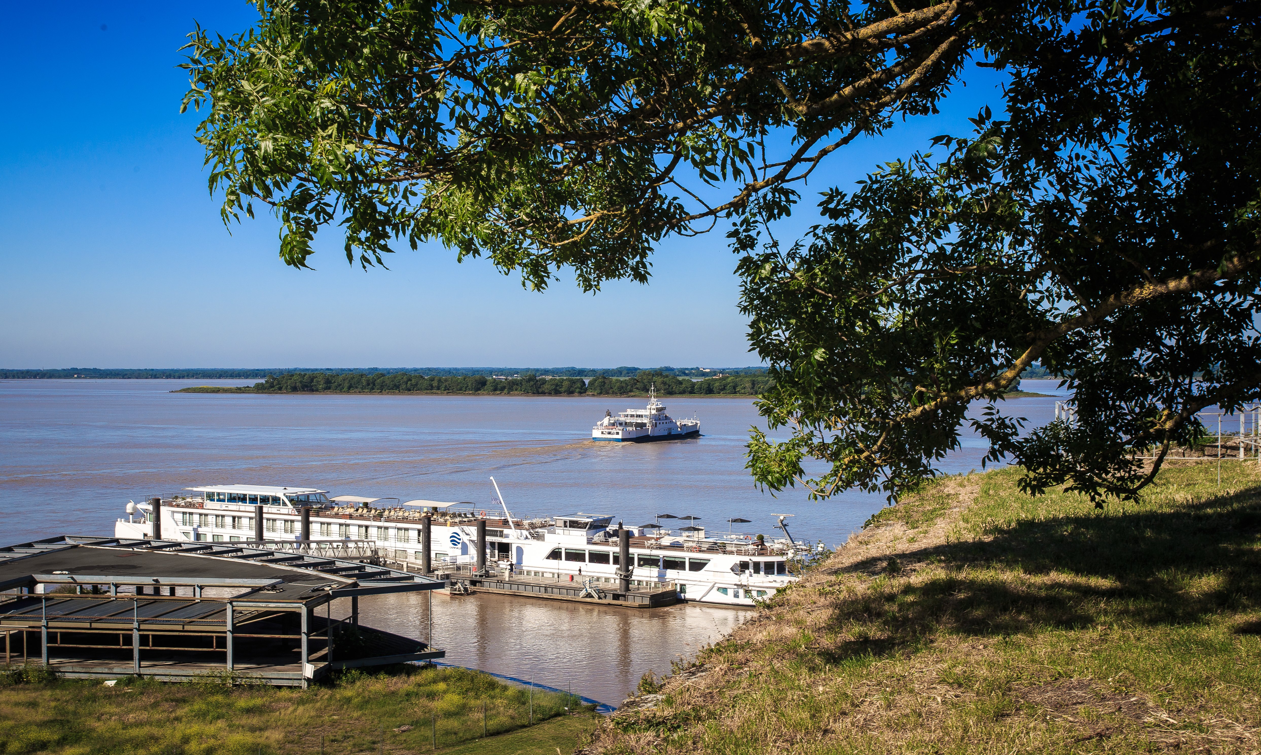 Les Vignobles à vélo - Entre vignobles et estuaire - autour de Blaye, Blaye - photo 3