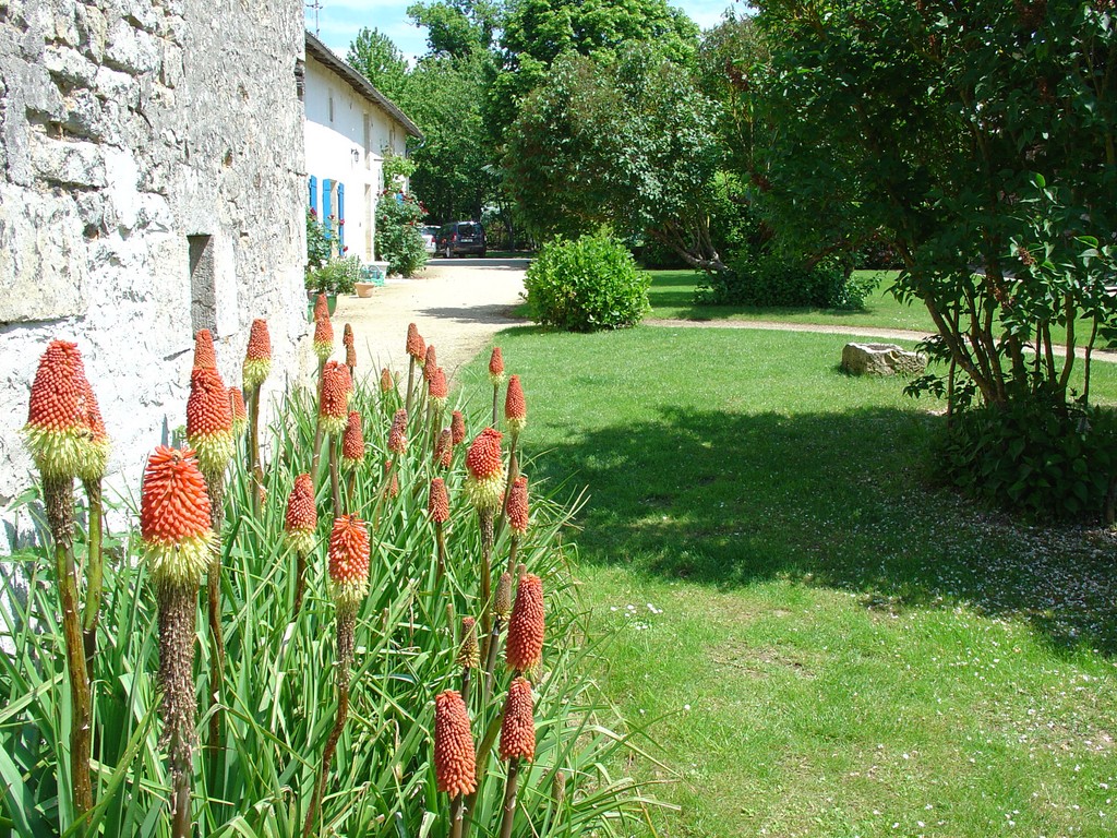 Les Gîtes de la Métairie de la Guiarderie, Saint-Vincent-la-Châtre - photo 6