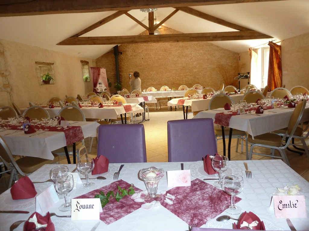 Les Gîtes de la Métairie de la Guiarderie, Saint-Vincent-la-Châtre - photo 9