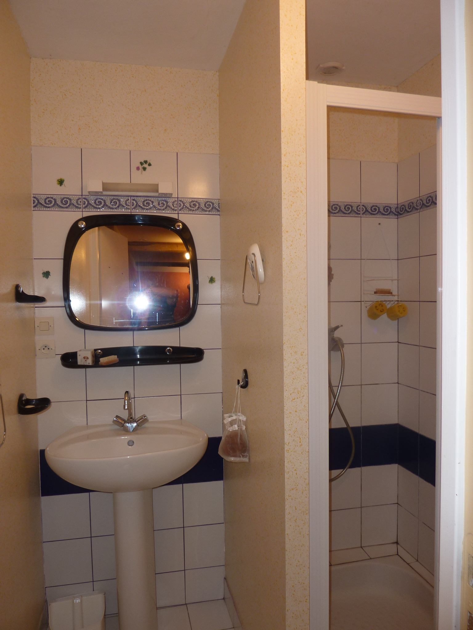 La Blandinière - photo 4