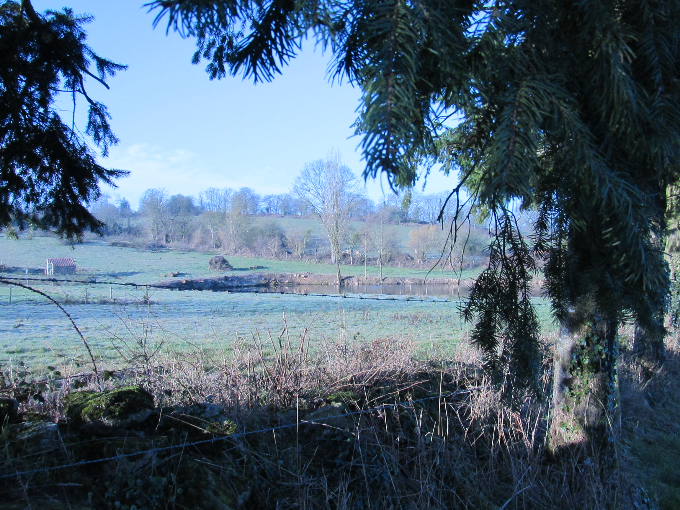 Les Chambres d'Isa, Mauléon - photo 3
