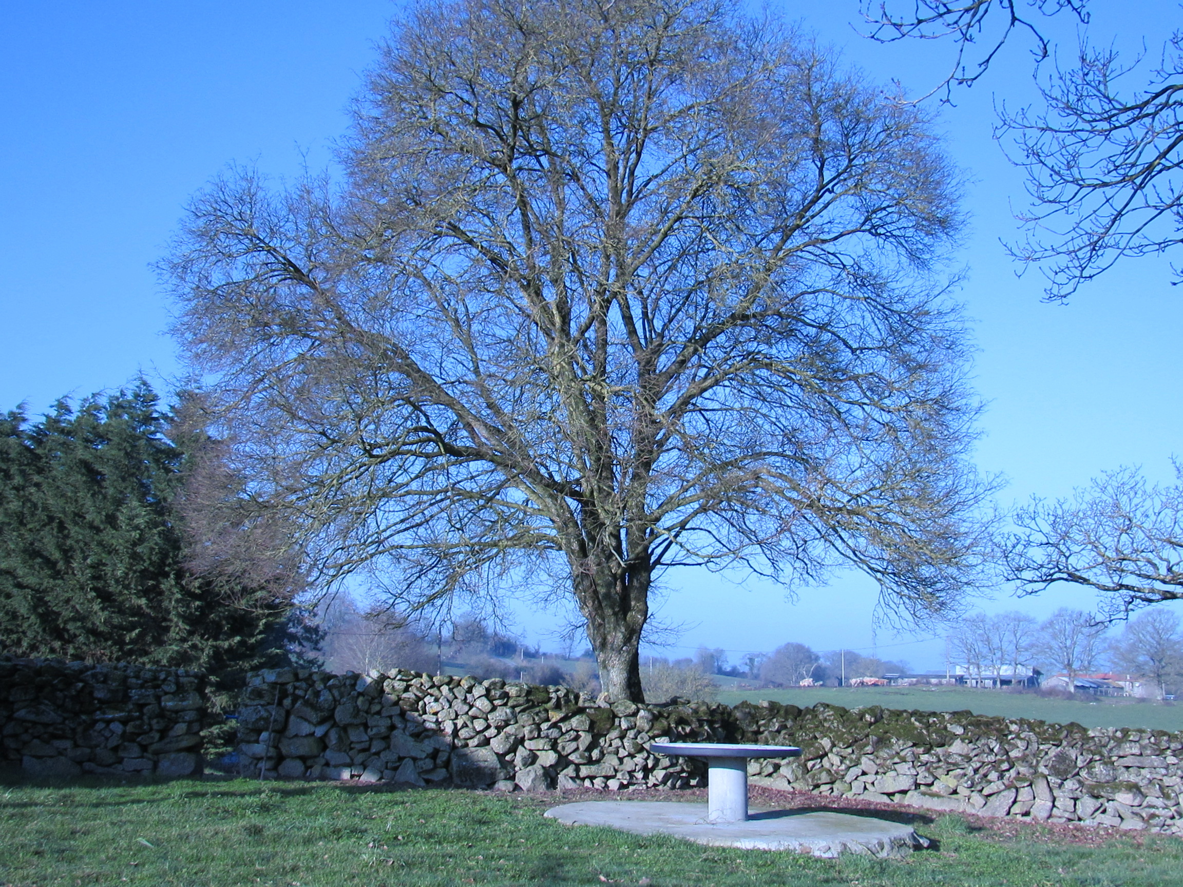 Les Chambres d'Isa, Mauléon - photo 8