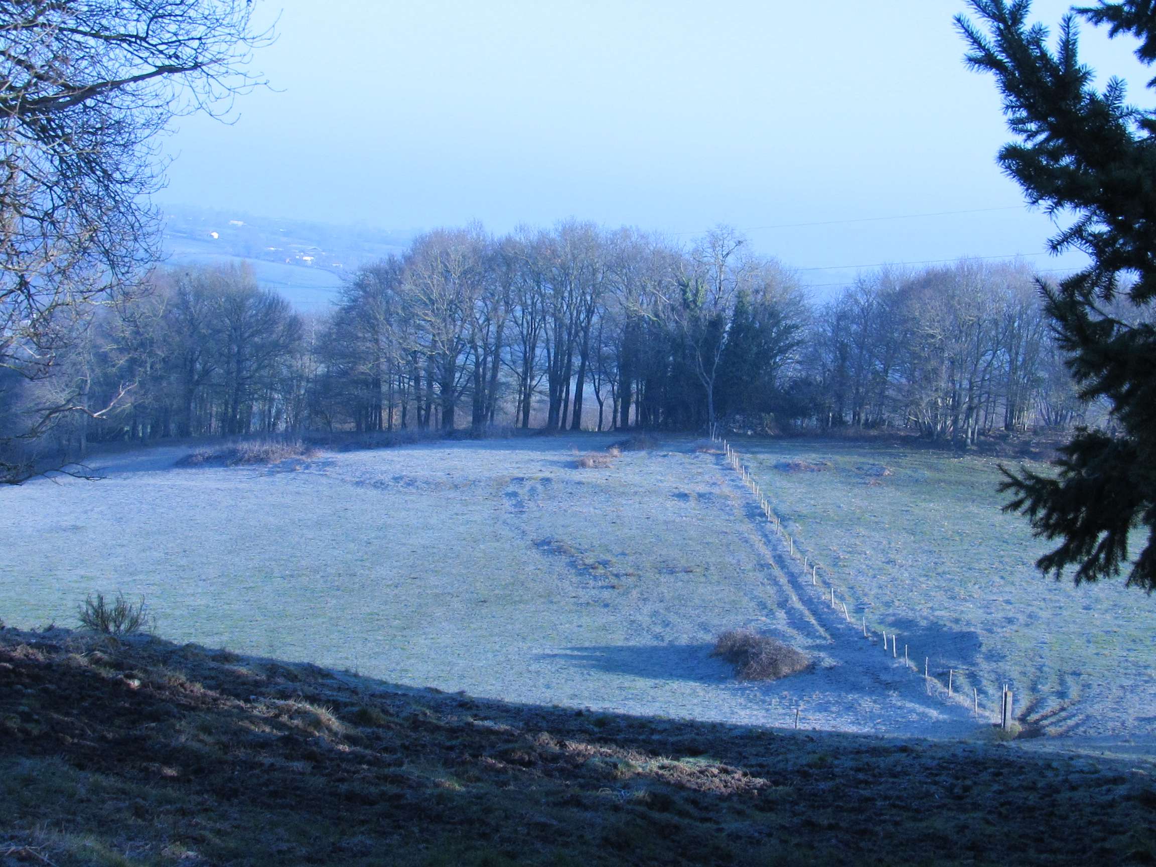 Les Chambres d'Isa, Mauléon - photo 4