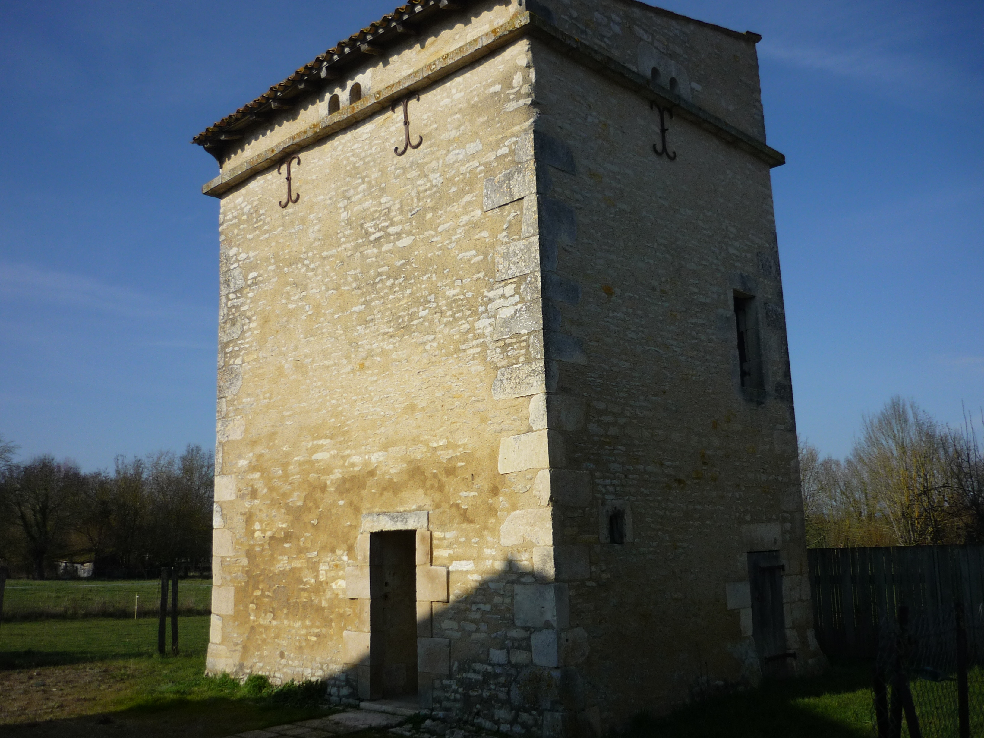 Saint-Georges-de-Rex et son marais préservé, Saint-Georges-de-Rex - photo 5