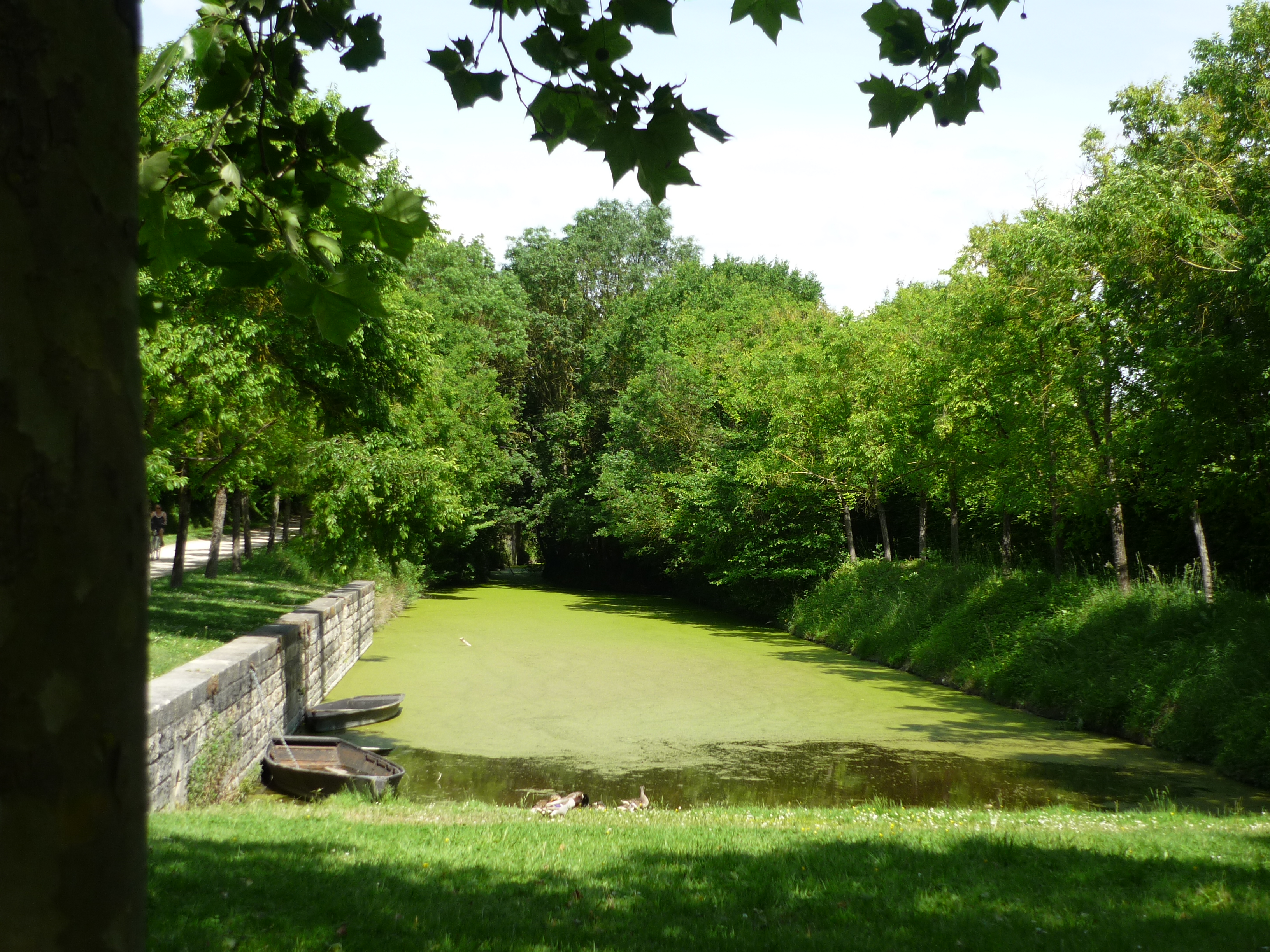 Saint-Georges-de-Rex et son marais préservé, Saint-Georges-de-Rex - photo 3
