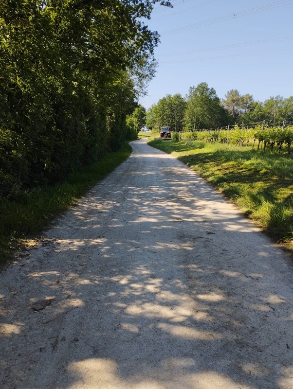 Circuit des 3 cantons de Les Lèves-et-Thoumeyragues, Les Lèves-et-Thoumeyragues - photo 3