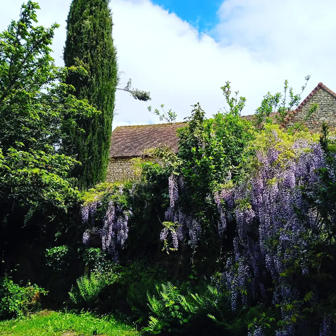 Les Glycines - photo 5