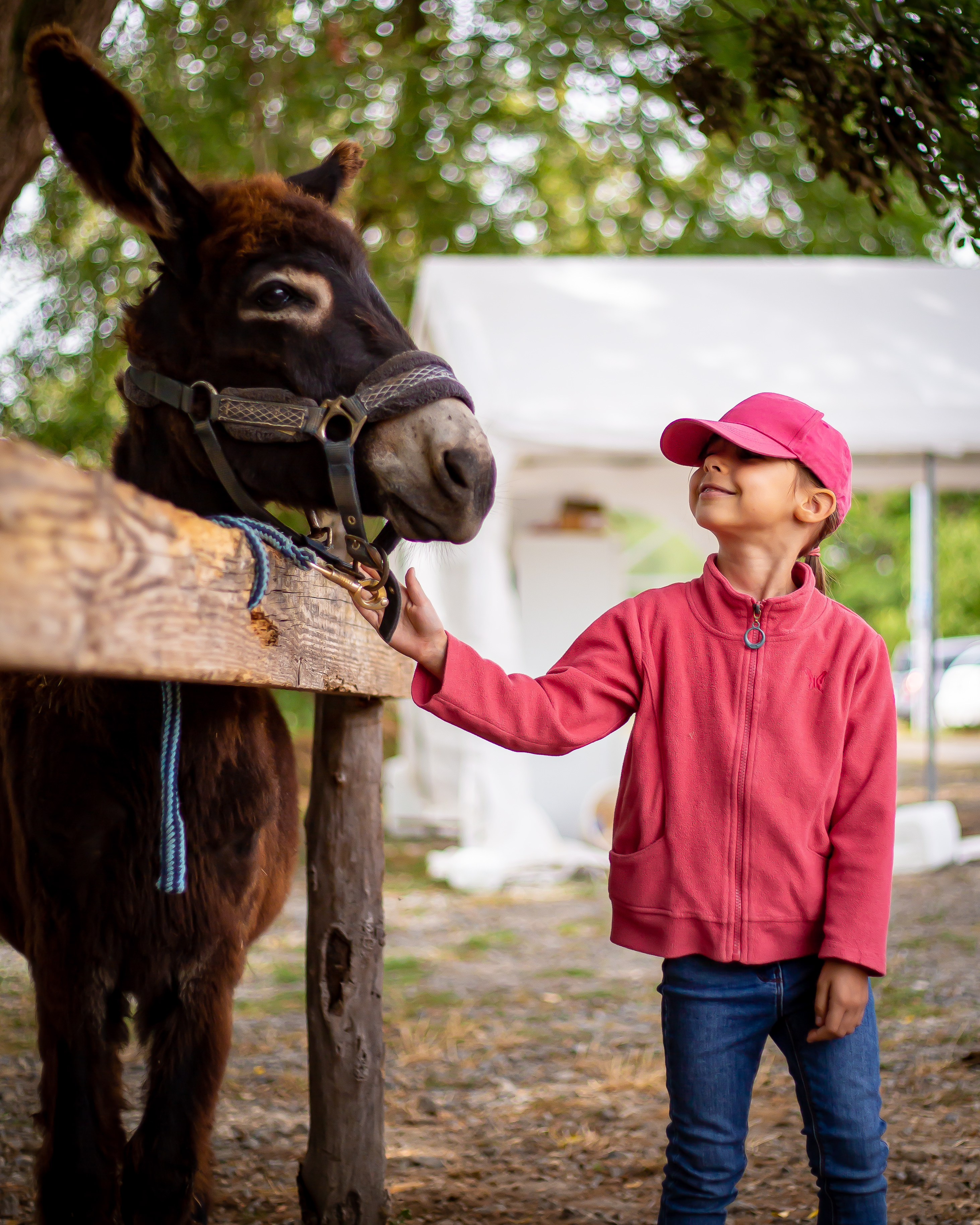 La Ferme du Petit Âge