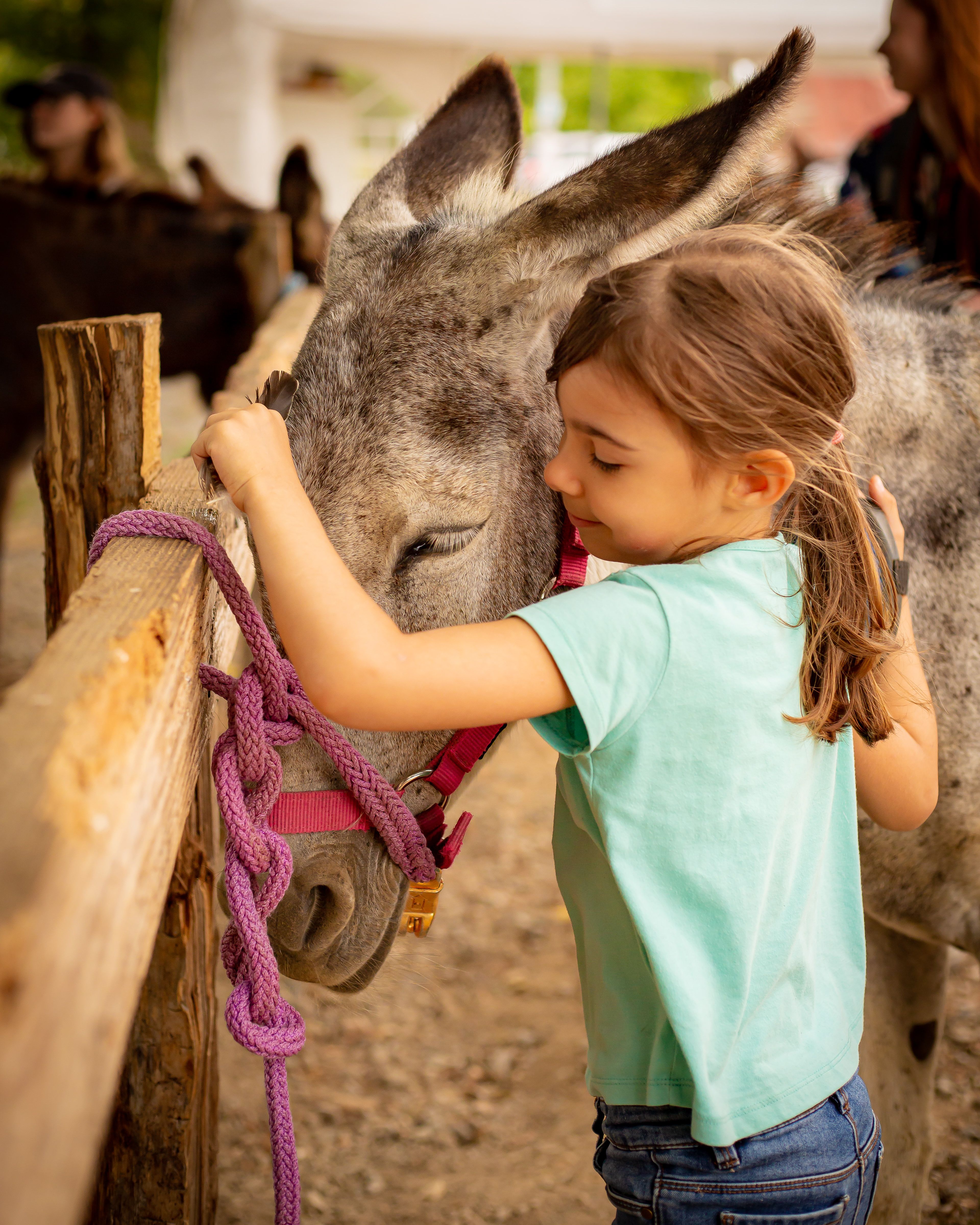 La Ferme du Petit Âge, Le Vigeant - photo 2
