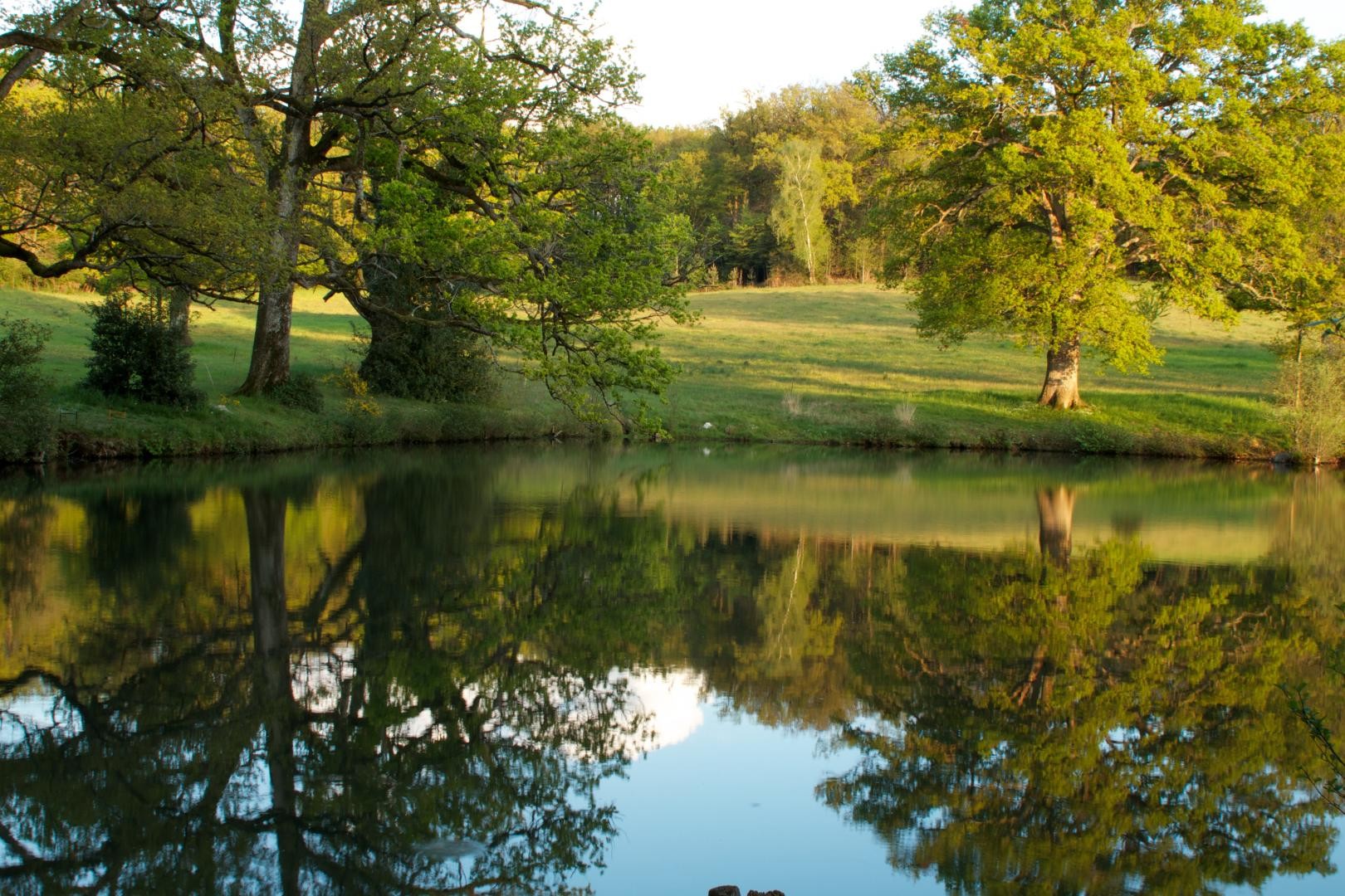 Gîte "Le Pavillon des Bois" - Domaine Les Roches Blanches, Le Pin - photo 4