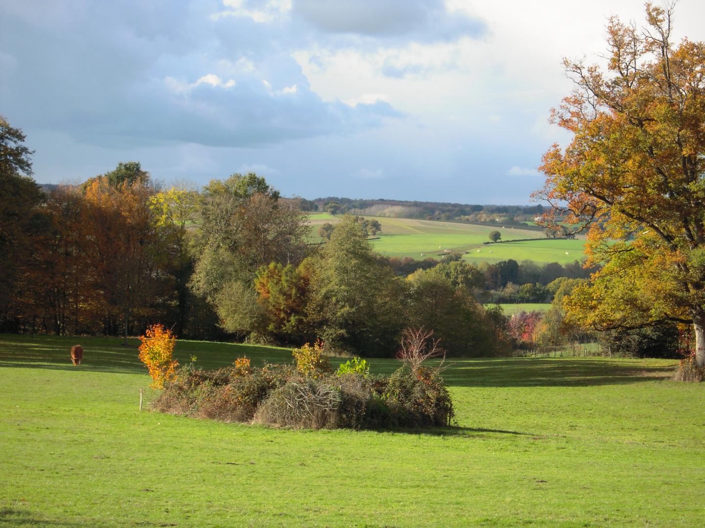 Gîte "Le Pavillon des Bois" - Domaine Les Roches Blanches, Le Pin - photo 7