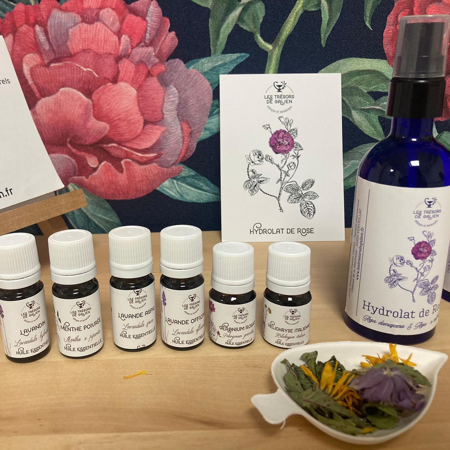 Les Trésors de Galien - photo 2