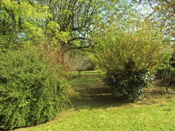 Gîte des Combes, Saivres - photo 5