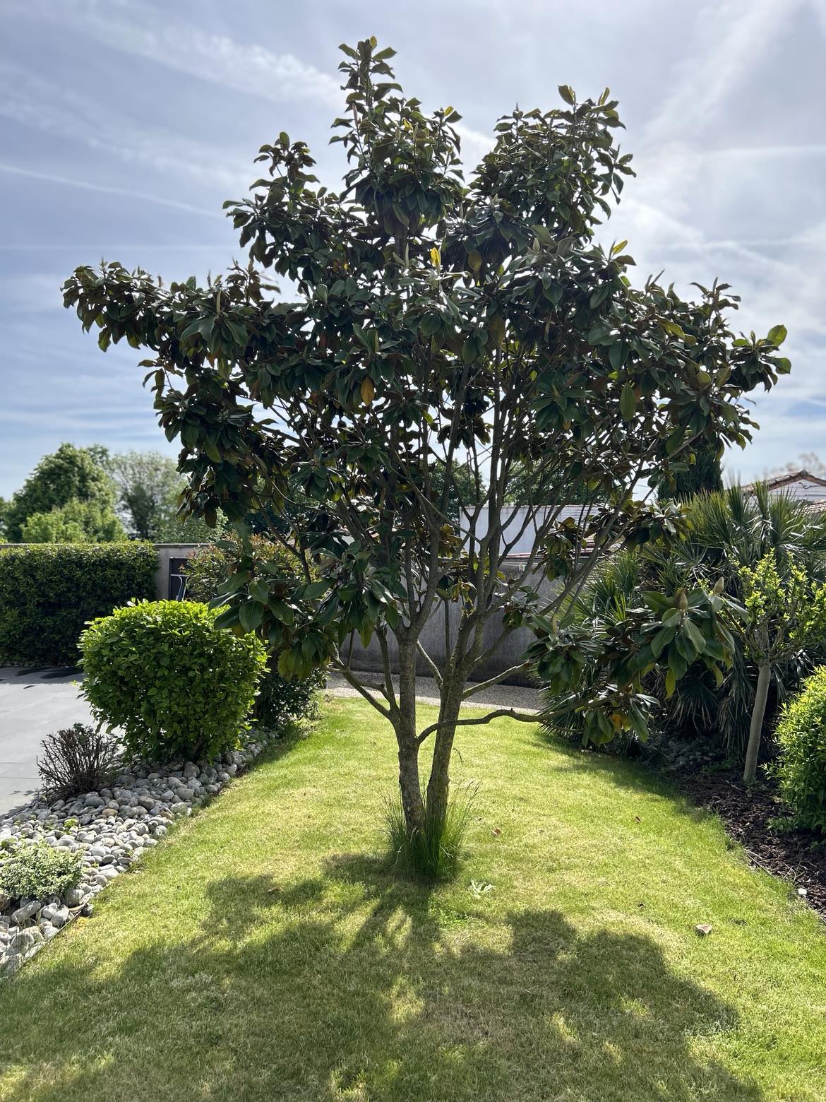 Le Hameau 1936 - Gîte des Chènevottes, Cherveux - photo 20
