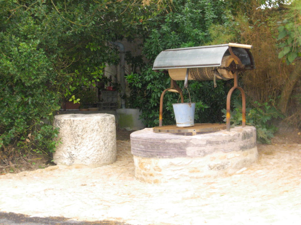 La Rochenard et son château d'eau observatoire, La Rochénard - photo 3