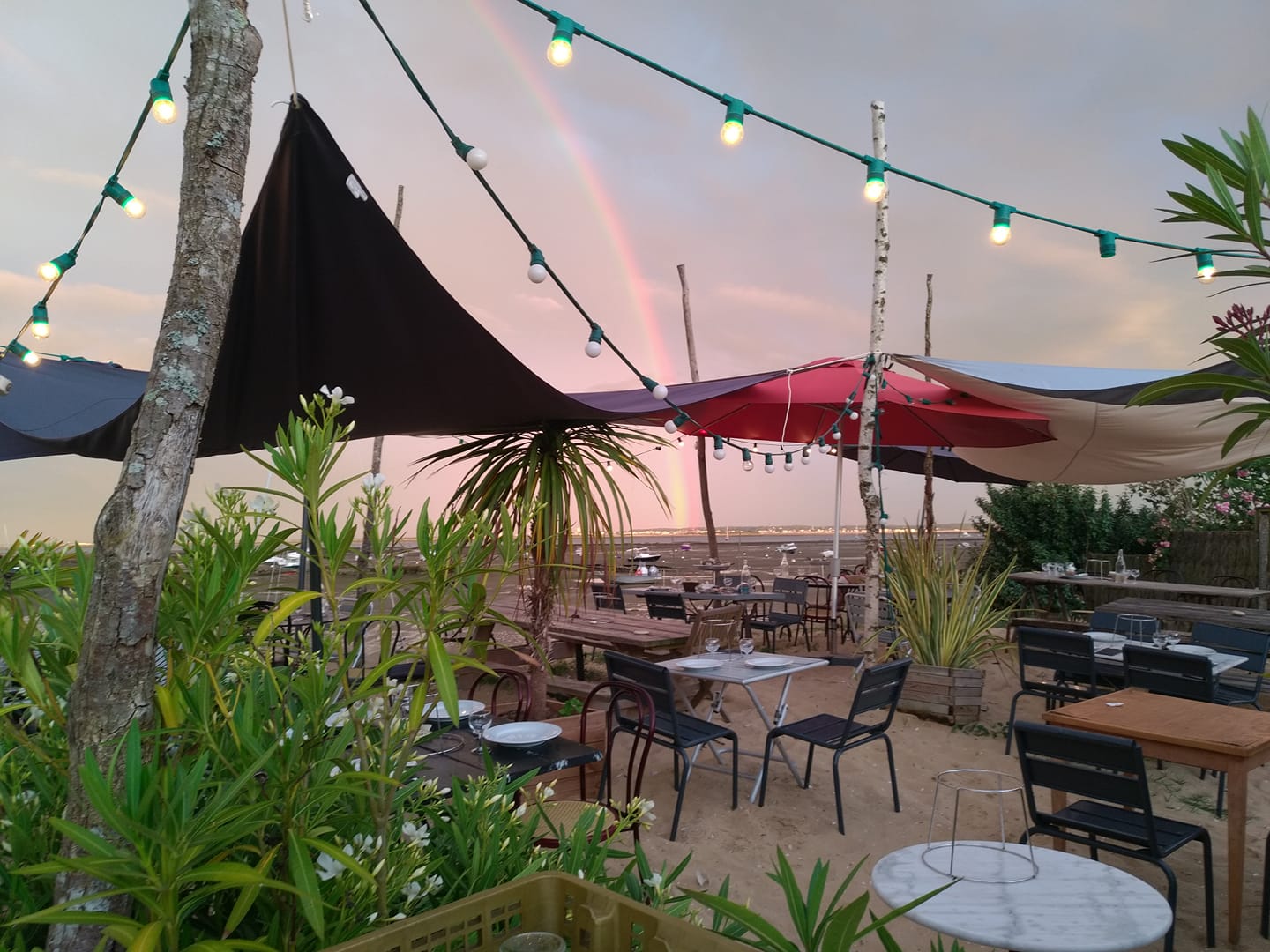 Dégustation la Conche - photo 3