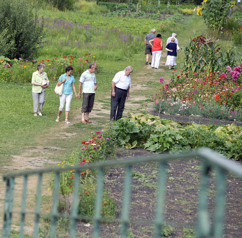 Le Vanneau-Irleau et son marché sur l'eau, Le Vanneau-Irleau - photo 2