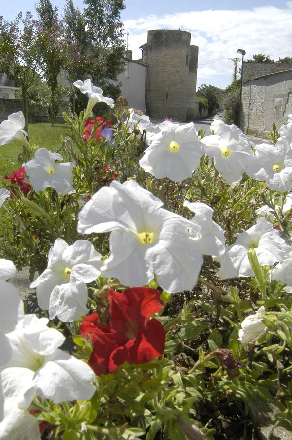 Saint-Rémy-en-Plaine vaut le des Tours, Saint-Rémy - photo 7