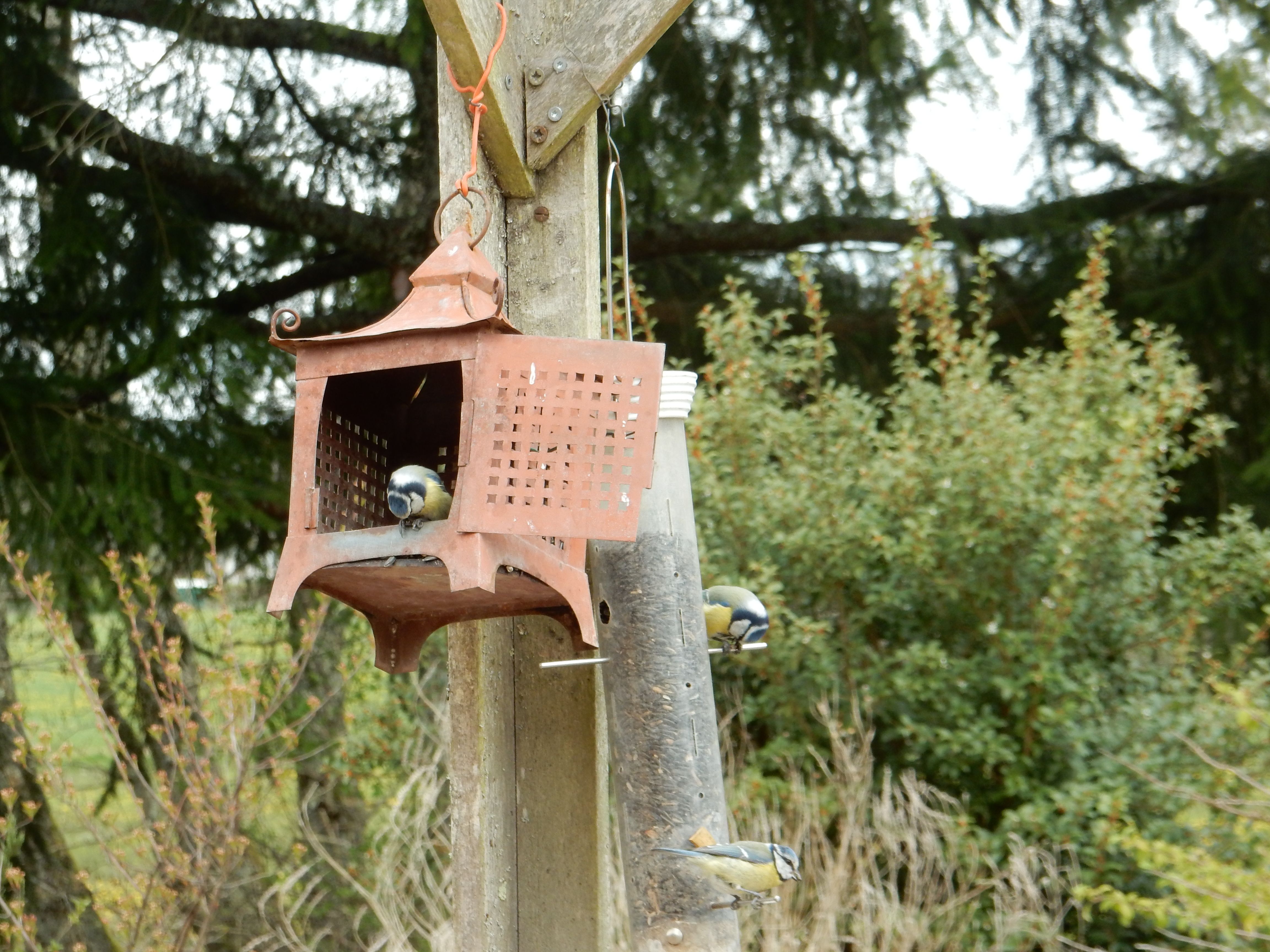 "Les Pieds dans l'Eau " Grande capacité - 15 personnes, Le Grand-Bourg - photo 27