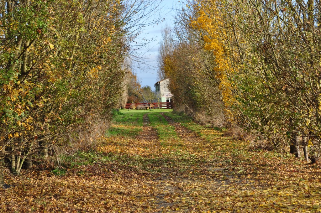 Gîte "Côté Marguerites" - Le Hameau de Sainte-Mégrine, Coulon - photo 6