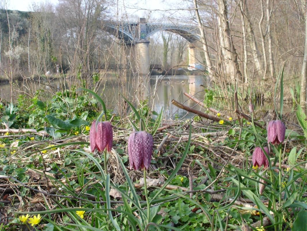 Gîte, Saint-Gelais - photo 9