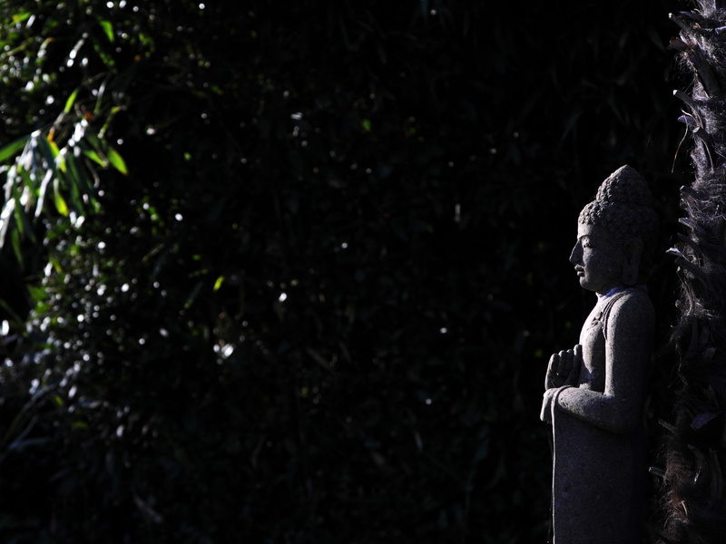 Villa La Tosca, Lanton - photo 4