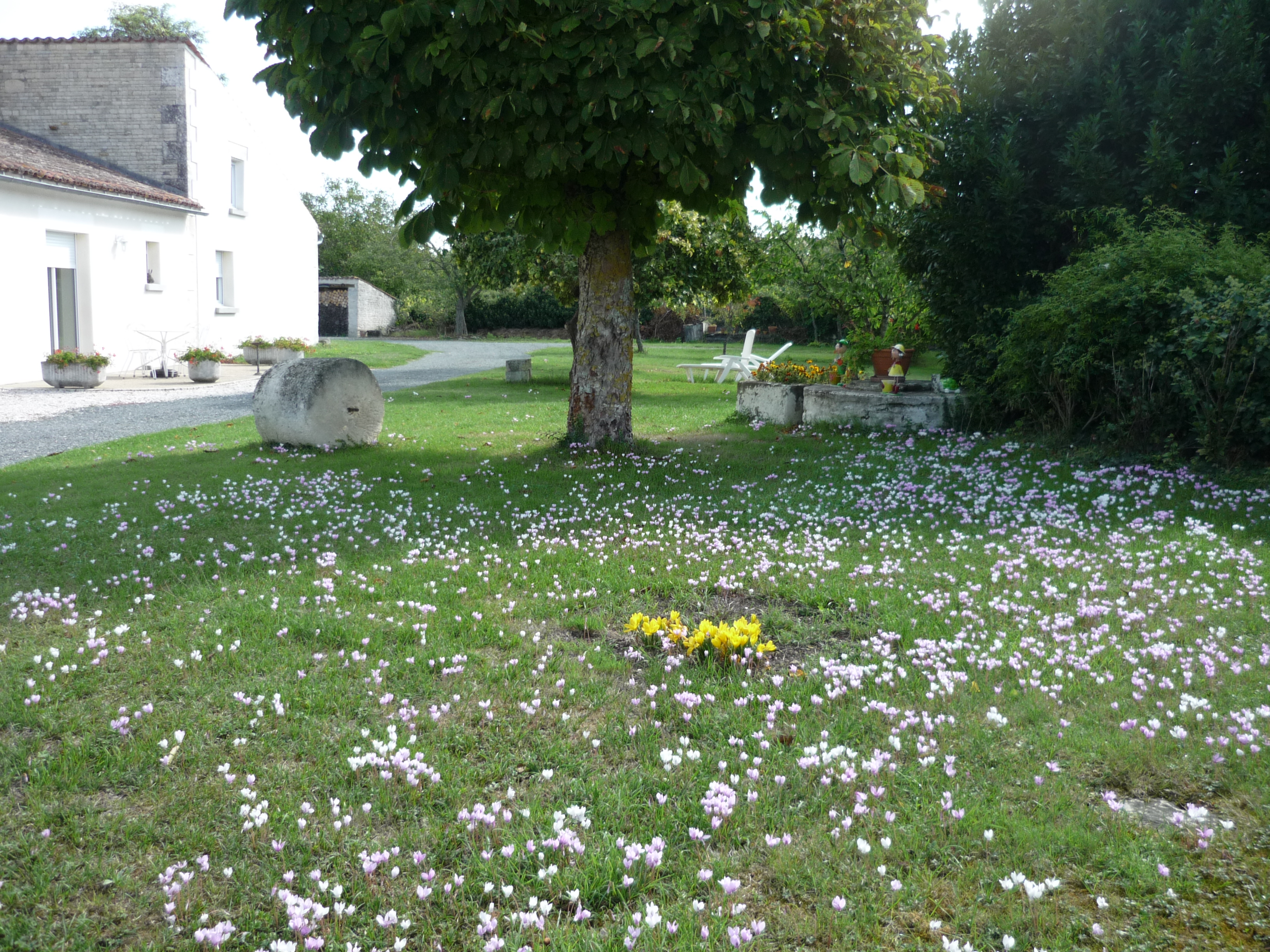 Gite "Les Cyclamens", Arçais - photo 11