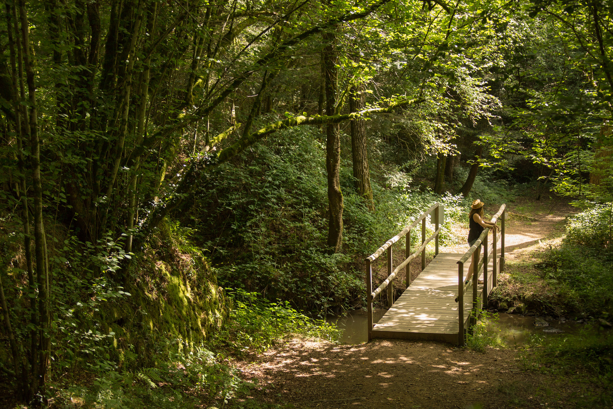 Le marais du Brezou, Lagraulière - photo 2