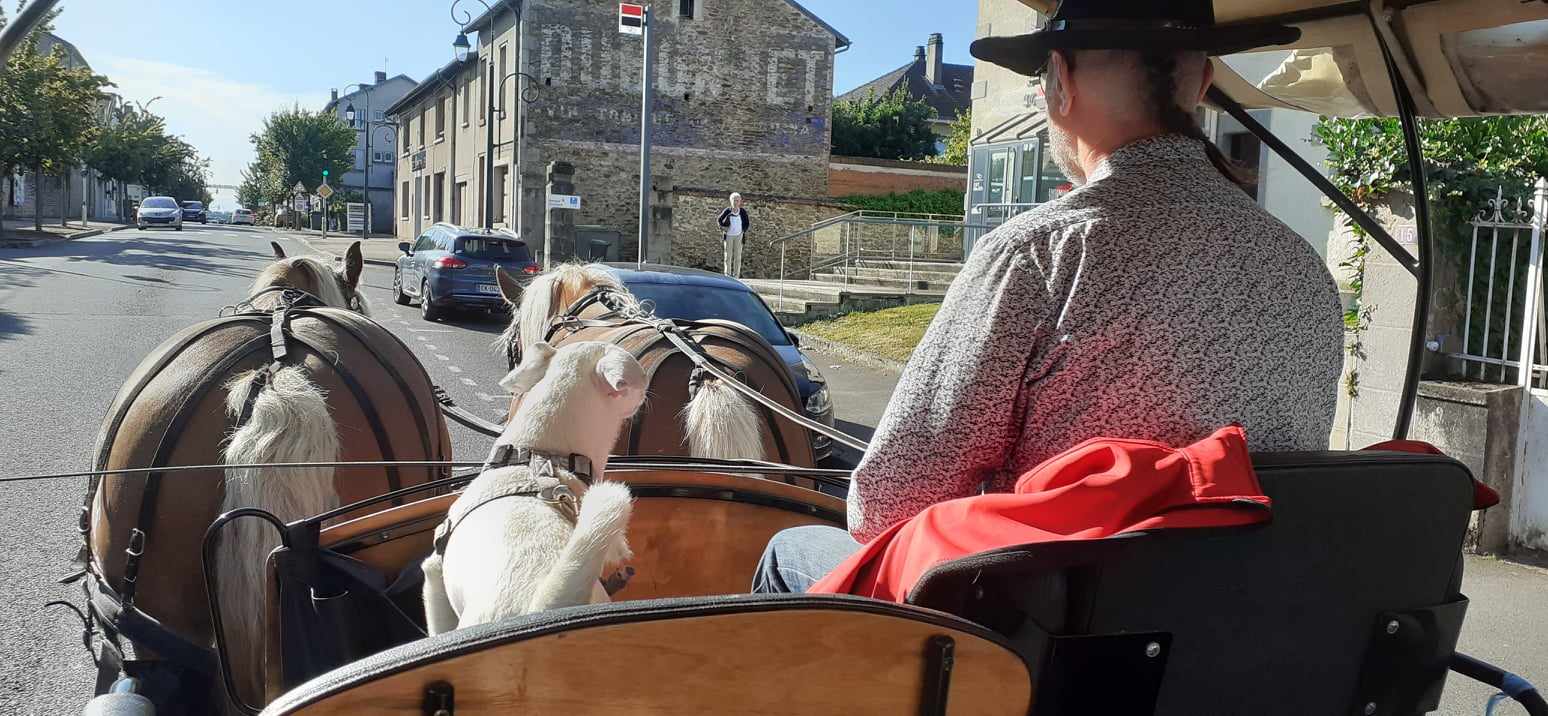 Les calèches de l'Isop, Saint-Martial-sur-Isop - photo 6