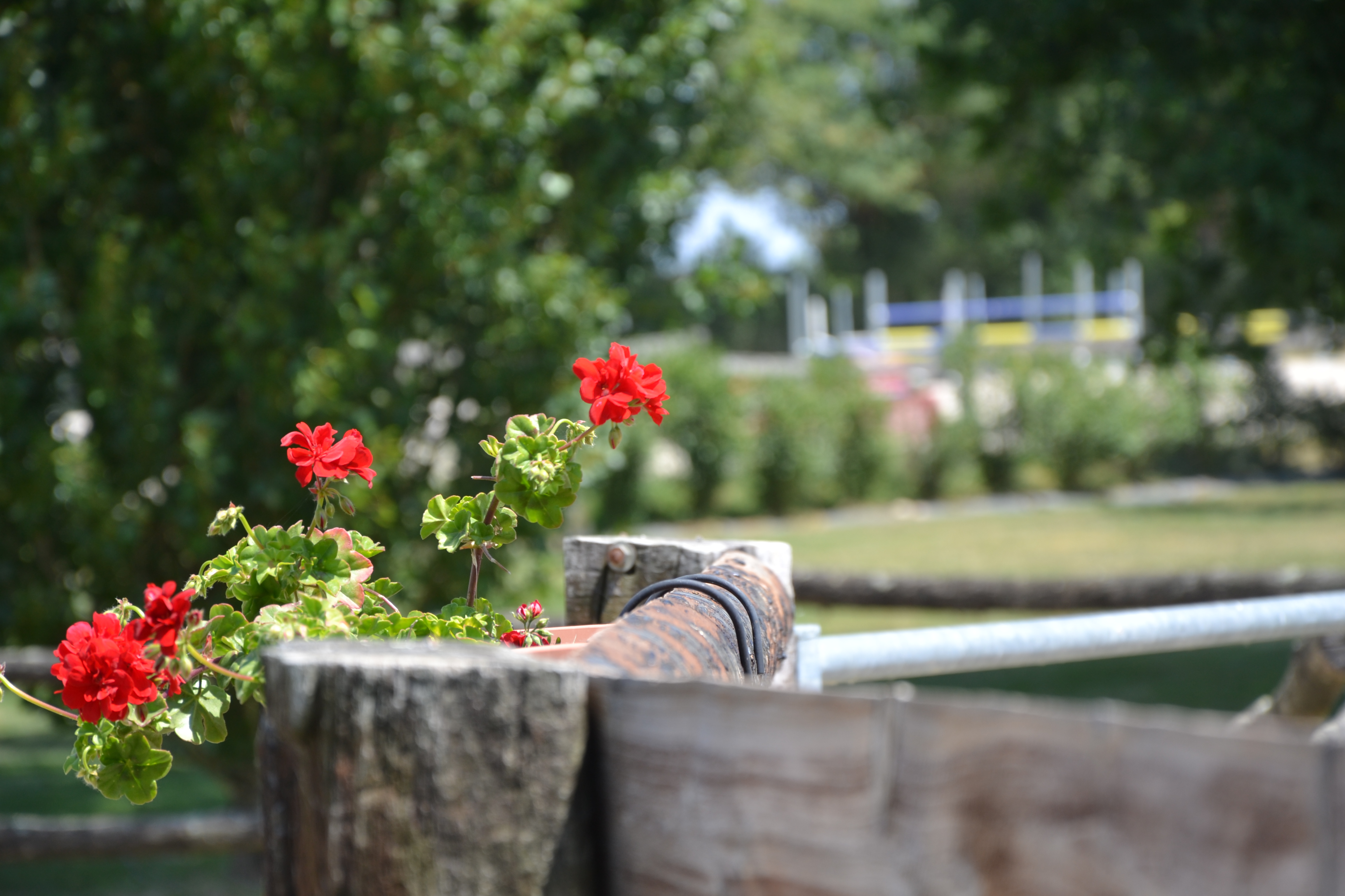 Gîte au Haras 4 personnes, Nueil-les-Aubiers